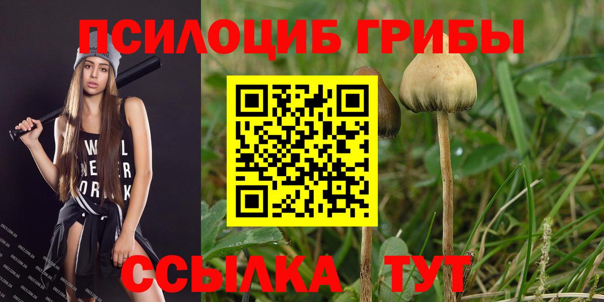 Усинск  Псилоцибиновые грибы Psilocybe  Вход с VPN  Галлюциногенные грибы Psilocybe 